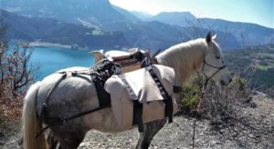 321420829_896845851316488_1874770302879699109_n