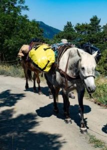 321523283_872367933906293_417871773929596151_n