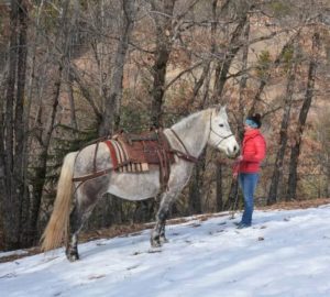 321631985_733437554872607_3955533682930166823_n-aspect-ratio-0-0