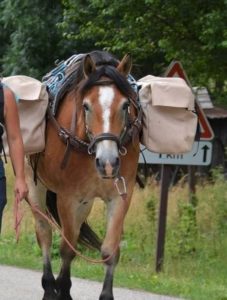 321672464_1860323001000988_1968487042660795674_n