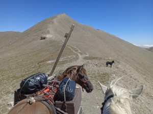 IMG_20220813_124732_1