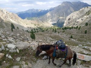 IMG_20220823_162758_1