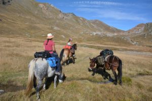 252541037_2027644190725057_1523831476903078232_n