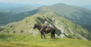 40768258_1089250134564472_6762924859413495808_n