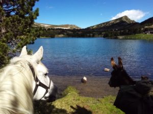 IMG_20210621_111805_491