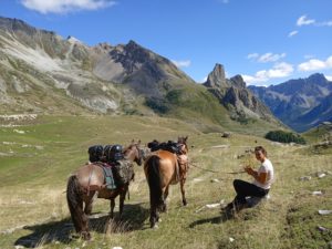 IMG_20220819_153350_1